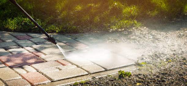 Animal Enclosure Cleaning in Florida City, FL
